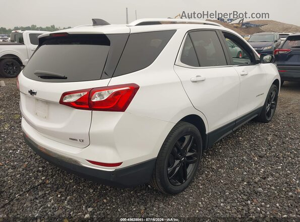 3GNAXUEV8ML315530 2021 CHEVROLET EQUINOX White Tył prawy