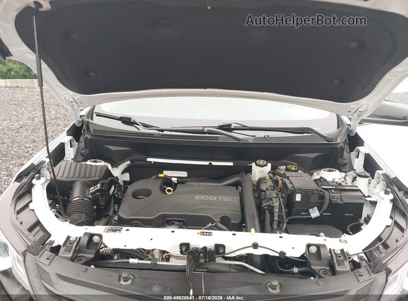 3GNAXUEV8ML315530 2021 CHEVROLET EQUINOX White Widok z tyłu