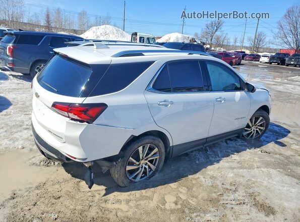 3GNAXXEG9PL217601 2023 CHEVROLET EQUINOX White Задня права чверть