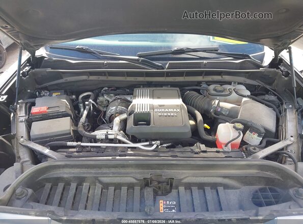 3GTUUEE82RG453305 2024 GMC SIERRA Gray Widok z tyłu