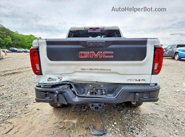 3GTUUFEL4PG351155 2023 GMC SIERRA Белый Вид сзади