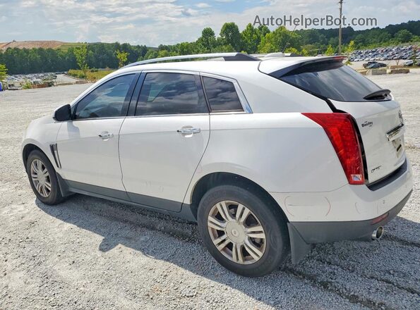 3GYFNBE36GS504799 2016 CADILLAC SRX White Rear left
