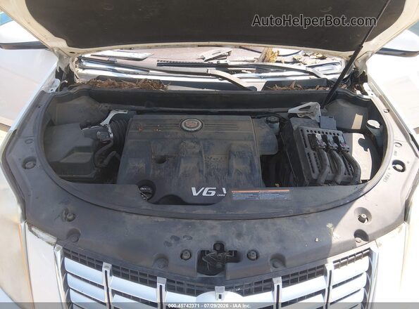 3GYFNDE33GS560548 2016 CADILLAC SRX Белый Вид сзади