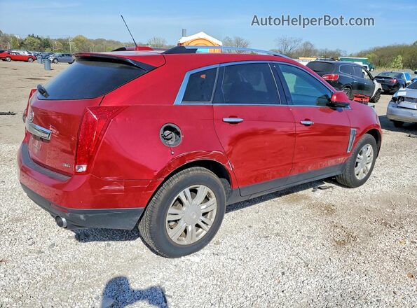 3GYFNEE36GS532846 2016 CADILLAC SRX Красный Задняя правая четверть