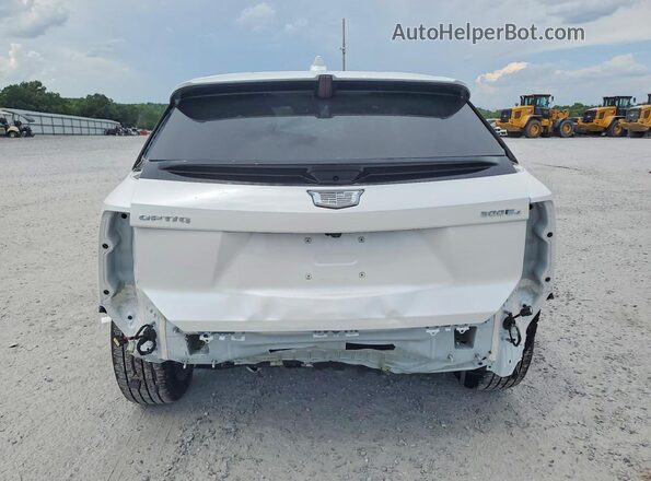 3GYK3DMR4SS216794 2025 CADILLAC OPTIQ White Widok z tyłu