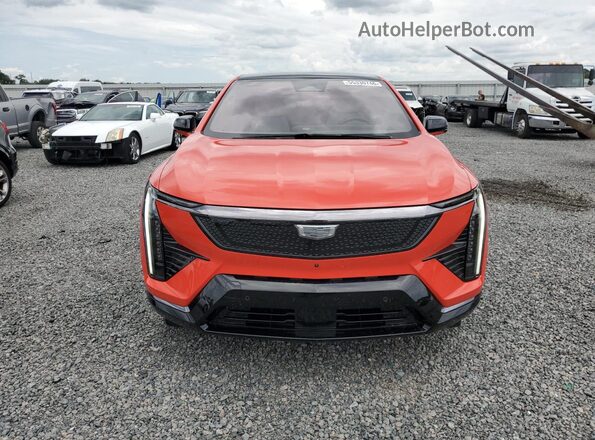 3GYK3EMR6SS239404 2025 CADILLAC OPTIQ Темно-бордовый Вид спереди