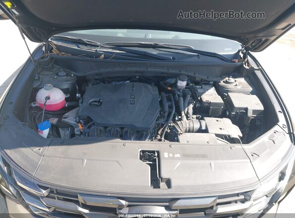 3KMJC3DE0SE011428 2025 HYUNDAI TUCSON Черный Вид сзади