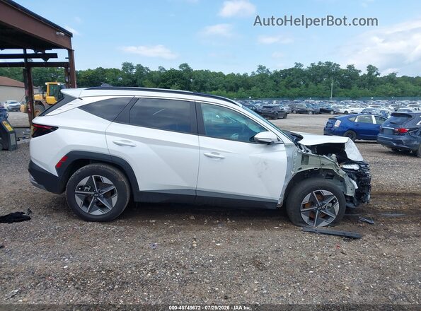 3KMJCCDE2SE015240 2025 HYUNDAI TUCSON White Սալոնի հետևի տեսք