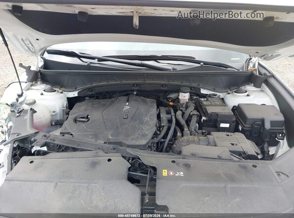 3KMJCCDE2SE015240 2025 HYUNDAI TUCSON White Հետևի տեսք