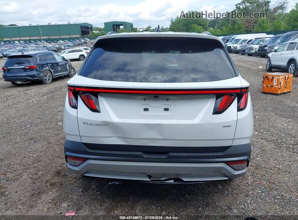 3KMJCCDE2SE015240 2025 HYUNDAI TUCSON White 