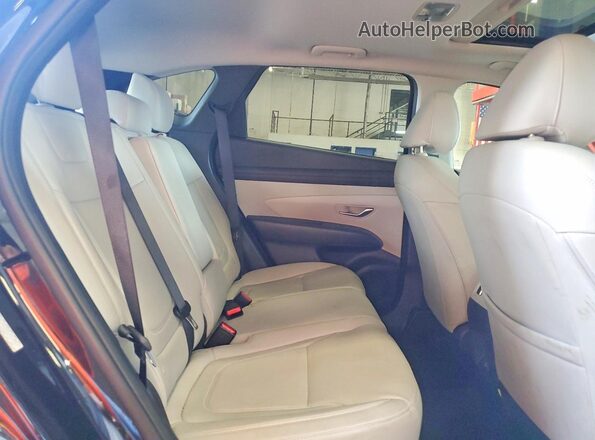 3KMJCCDE6SE006511 2025 HYUNDAI TUCSON Черный Вид задней части салона