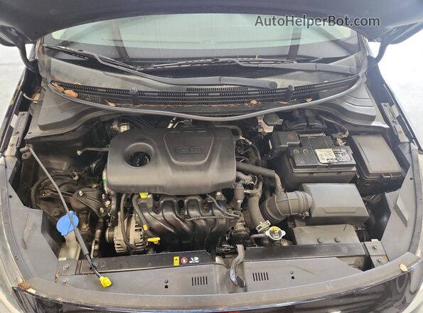 3KPA24AB8JE071817 2018 KIA RIO Black Widok wnętrza z tyłu