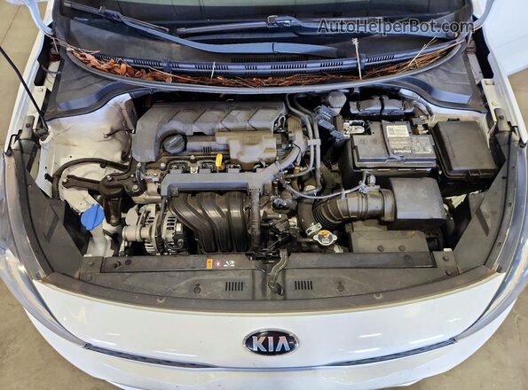 3KPA24AD9LE349483 2020 KIA RIO White Widok wnętrza z tyłu