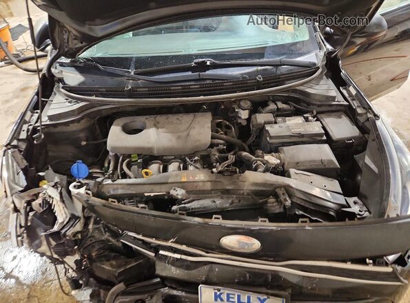 3KPA25AB4JE045141 2018 KIA RIO Black Սալոնի հետևի տեսք