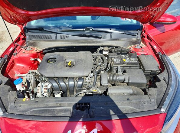3KPF24AD0RE733893 2024 KIA FORTE Red Սալոնի հետևի տեսք