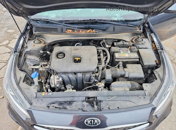 3KPF24AD1LE256074 2020 KIA FORTE Gray Սալոնի հետևի տեսք