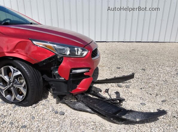 3KPF24AD1ME335794 2021 KIA FORTE Красный 