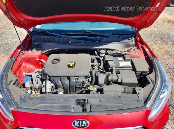 3KPF24AD2KE121247 2019 KIA FORTE Red Vista interior trasera