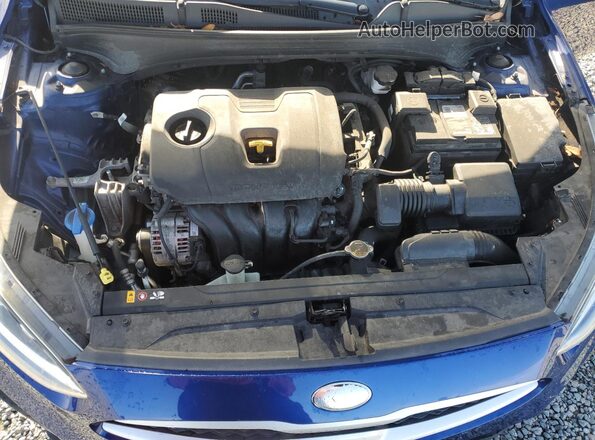 3KPF24AD3KE032481 2019 KIA FORTE Blue Սալոնի հետևի տեսք