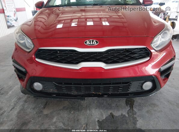 3KPF24AD4KE036653 2019 KIA FORTE Красный Вид задней части салона