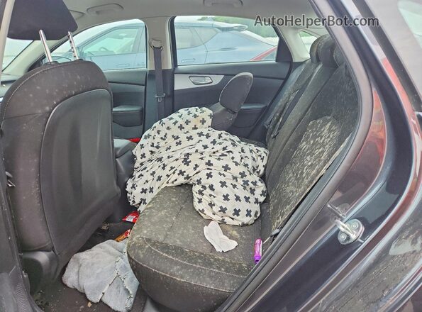 3KPF24AD4PE614743 2023 KIA FORTE Gray Widok tylnych siedzeń