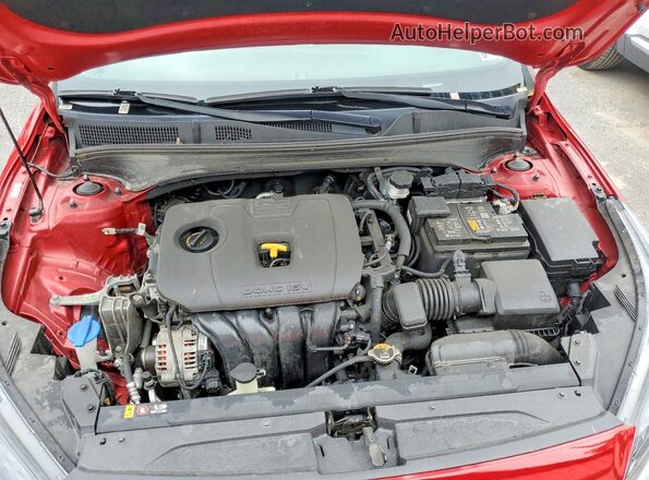 3KPF24AD5PE571238 2023 KIA FORTE Красный Вид задней части салона
