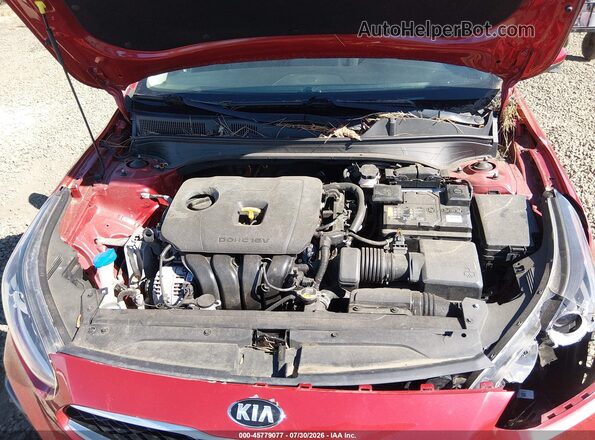 3KPF24AD9KE115669 2019 KIA FORTE Red Widok z tyłu
