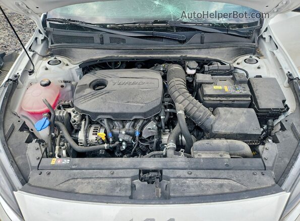 3KPF44AC4RE838888 2024 KIA FORTE Белый Вид задней части салона