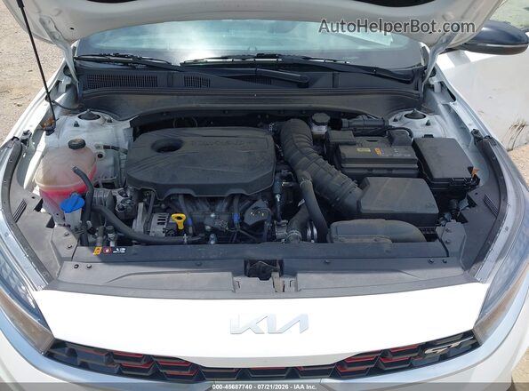 3KPF44ACXRE793021 2024 KIA FORTE White Widok z tyłu