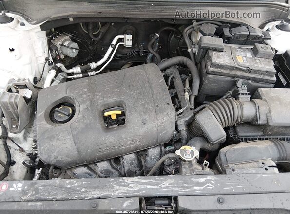 3KPF54AD8RE744650 2024 KIA FORTE Белый Вид сзади