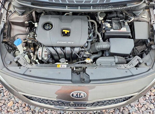 3KPFK4A72HE127679 2017 KIA FORTE Коричневый Вид задней части салона