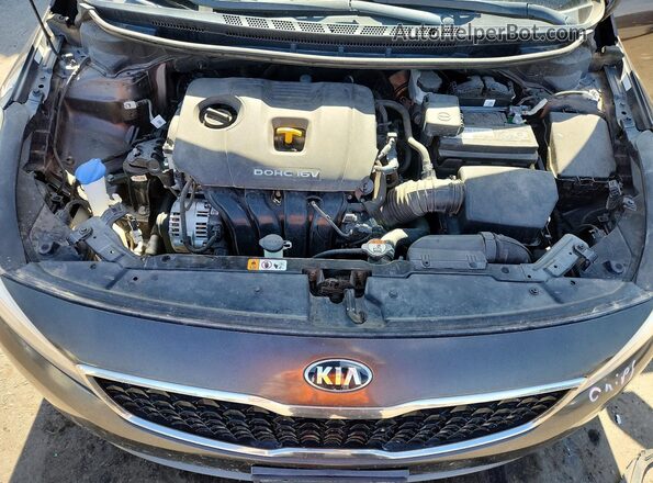 3KPFL4A71JE180926 2018 KIA FORTE Brown Widok wnętrza z tyłu