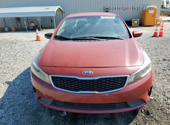 3KPFL4A71JE257522 2018 KIA FORTE Красный Вид спереди