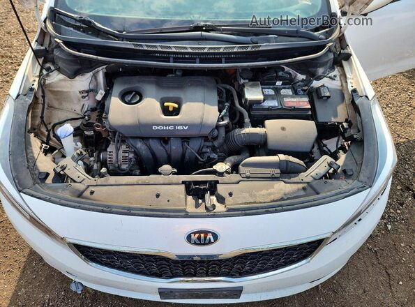 3KPFL4A74HE056076 2017 KIA FORTE White Вид задньої частини салону