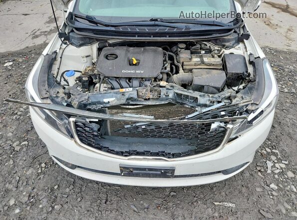 3KPFL4A75HE128774 2017 KIA FORTE Белый Вид задней части салона
