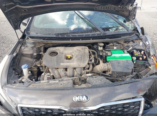 3KPFL4A78HE148792 2017 KIA FORTE Brown Вид ззаду