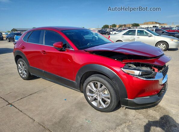 3MVDMACL7MM251018 2021 MAZDA CX-30 Red წინა მარჯვენა