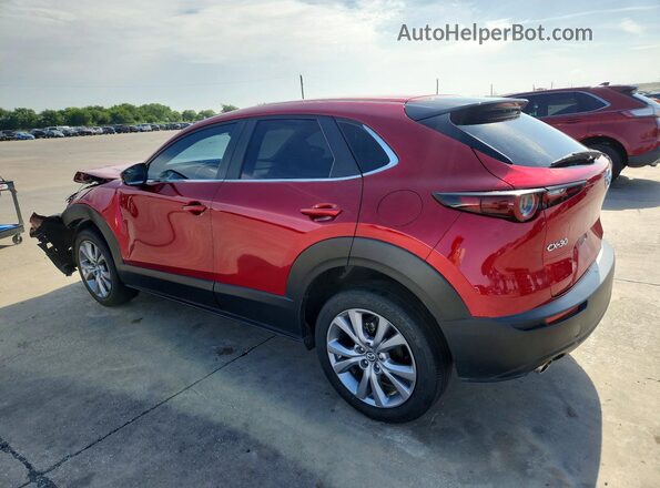 3MVDMACL7MM251018 2021 MAZDA CX-30 Red უკანა მარცხენა