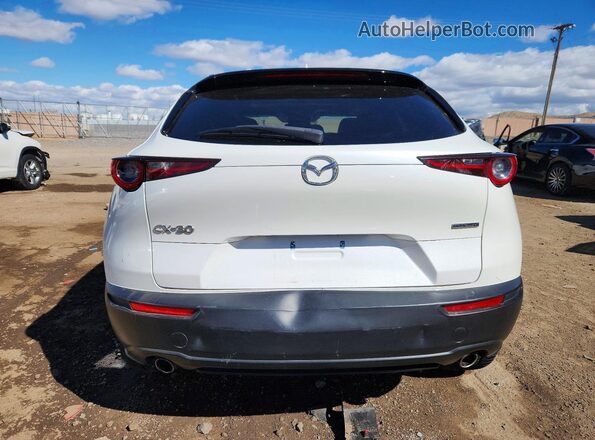 3MVDMAEM2LM128327 2020 MAZDA CX-30 White Հետևի տեսք