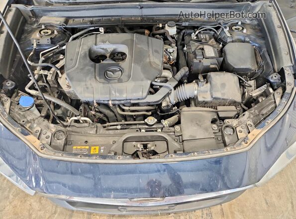 3MVDMBAM0PM562666 2023 MAZDA CX-30 Синий Вид задней части салона