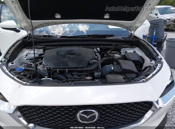 3MVDMBAM0PM587275 2023 MAZDA CX-30 Белый Вид сзади
