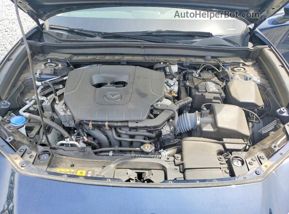 3MVDMBAM4RM615386 2024 MAZDA CX-30 Blue Սալոնի հետևի տեսք