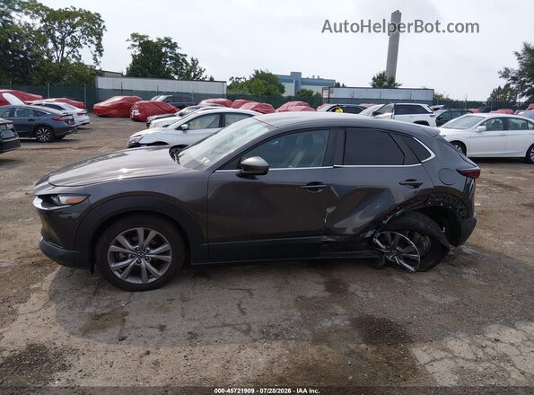 3MVDMBBL7MM313704 2021 MAZDA CX-30 Gray Widok wnętrza 360 stopni