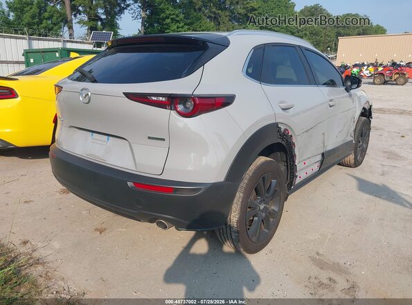3MVDMBBM0SM868385 2025 MAZDA CX-30 Gray Задня права чверть