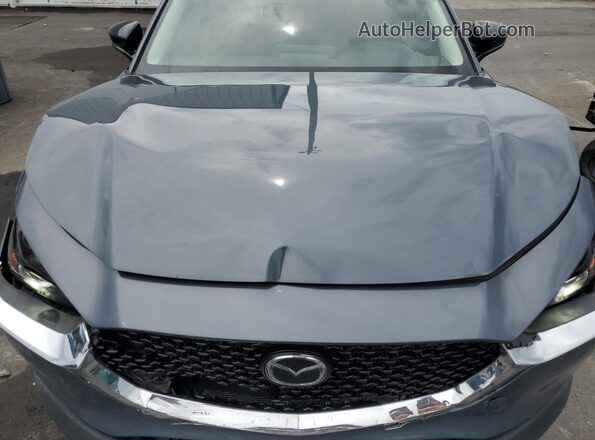 3MVDMBCL6NM434126 2022 MAZDA CX-30 Blue Rear interior view