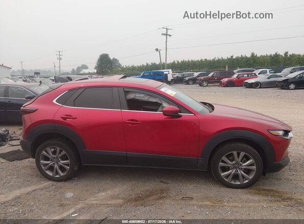 3MVDMBCLXMM262116 2021 MAZDA CX-30 Красный Вид задней части салона
