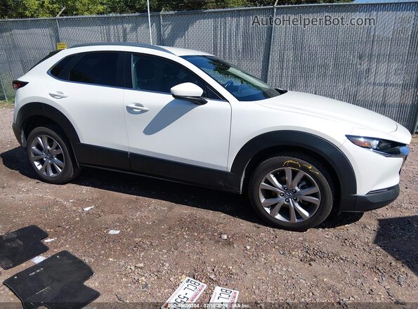 3MVDMBCM8PM507945 2023 MAZDA CX-30 White Вид задньої частини салону