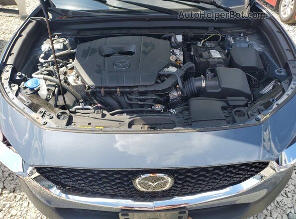 3MVDMBCM8SM841255 2025 MAZDA CX-30 Gray Սալոնի հետևի տեսք
