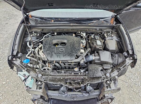 3MVDMBCMXSM781981 2025 MAZDA CX-30 Black Սալոնի հետևի տեսք