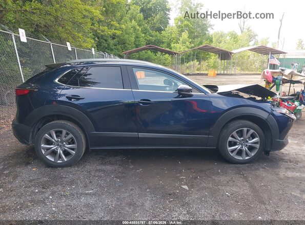 3MVDMBDL3MM316516 2021 MAZDA CX-30 Синий Вид задней части салона